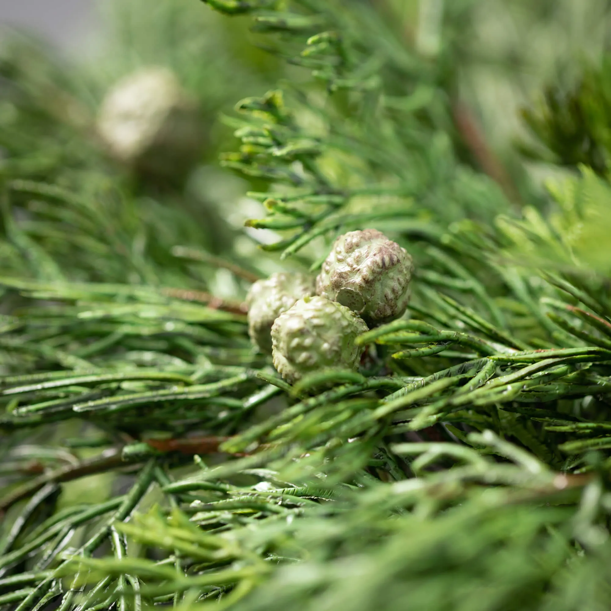 19"H Sullivans Lush Cypress & Berry Wreath, Green Winter Wreaths For Front Door