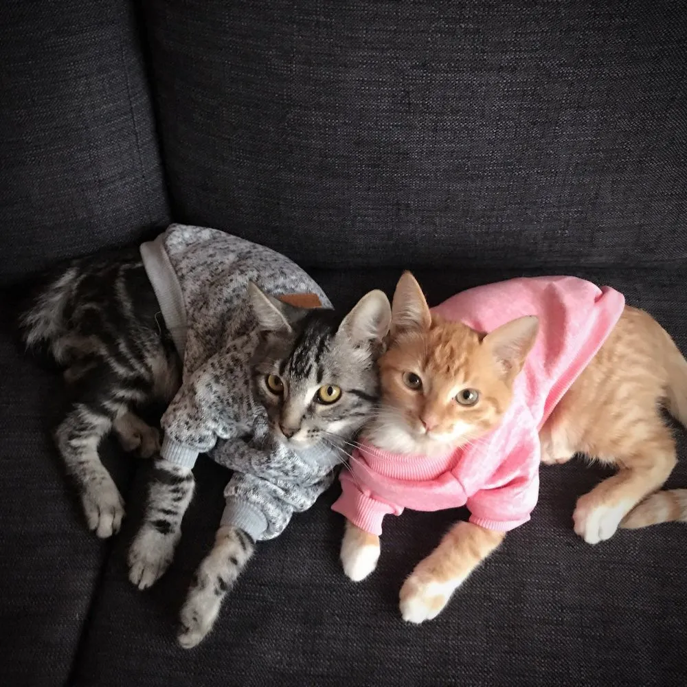 Idepet | Cat Sweater