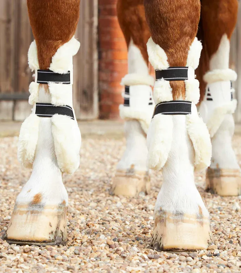 PEI Kevlar Techno-Wool Tendon Boots (White)