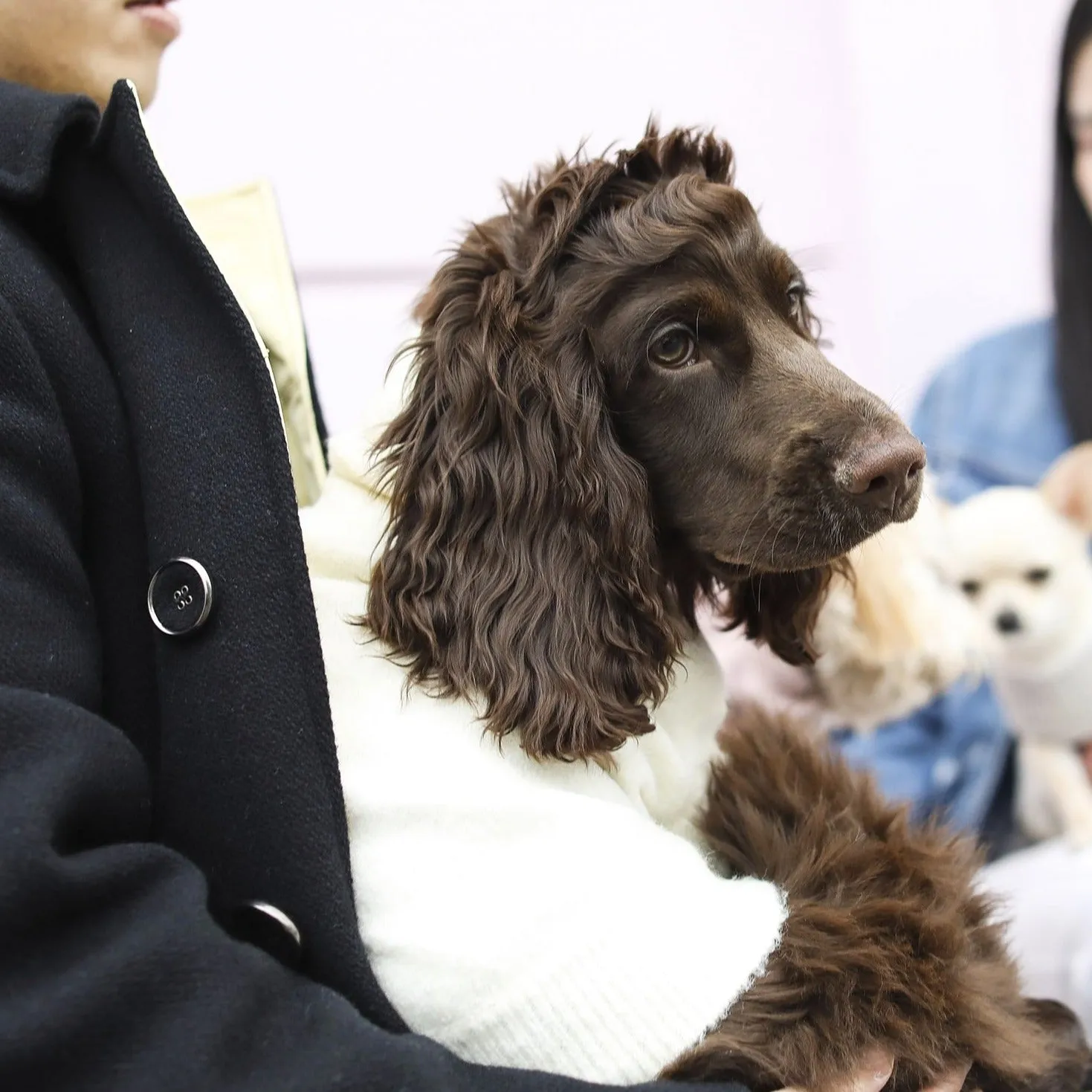 Turtle Neck Sweater